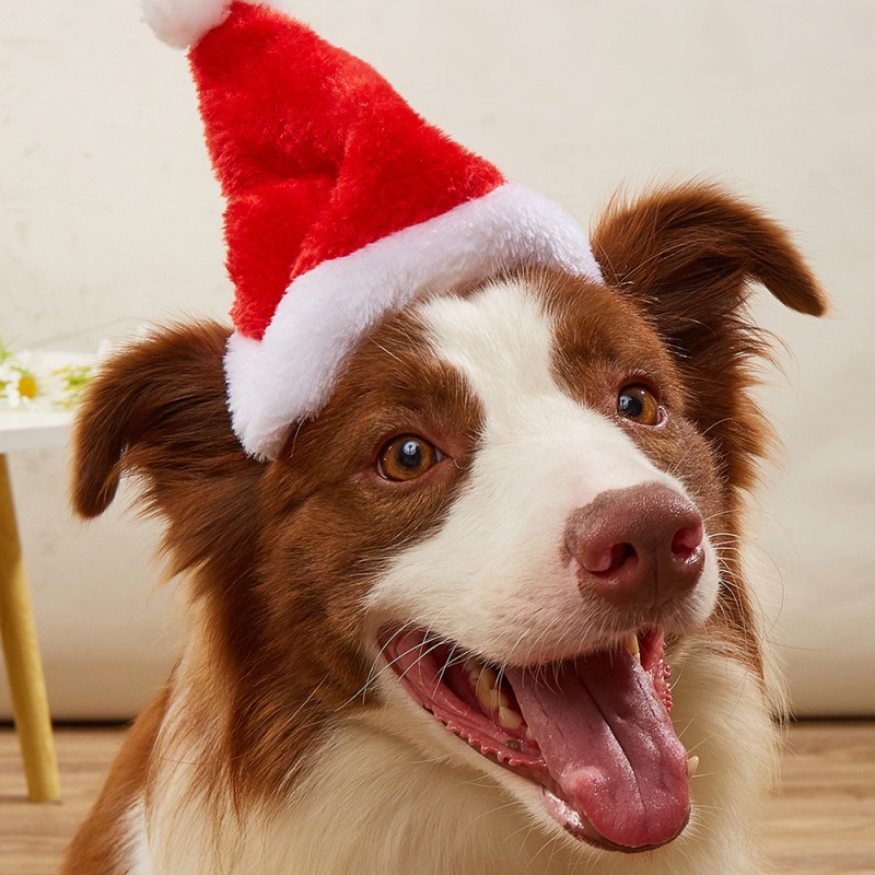 Santa Hat Plush - Köpek Kediler Şapka Noel Süsleri Makinede