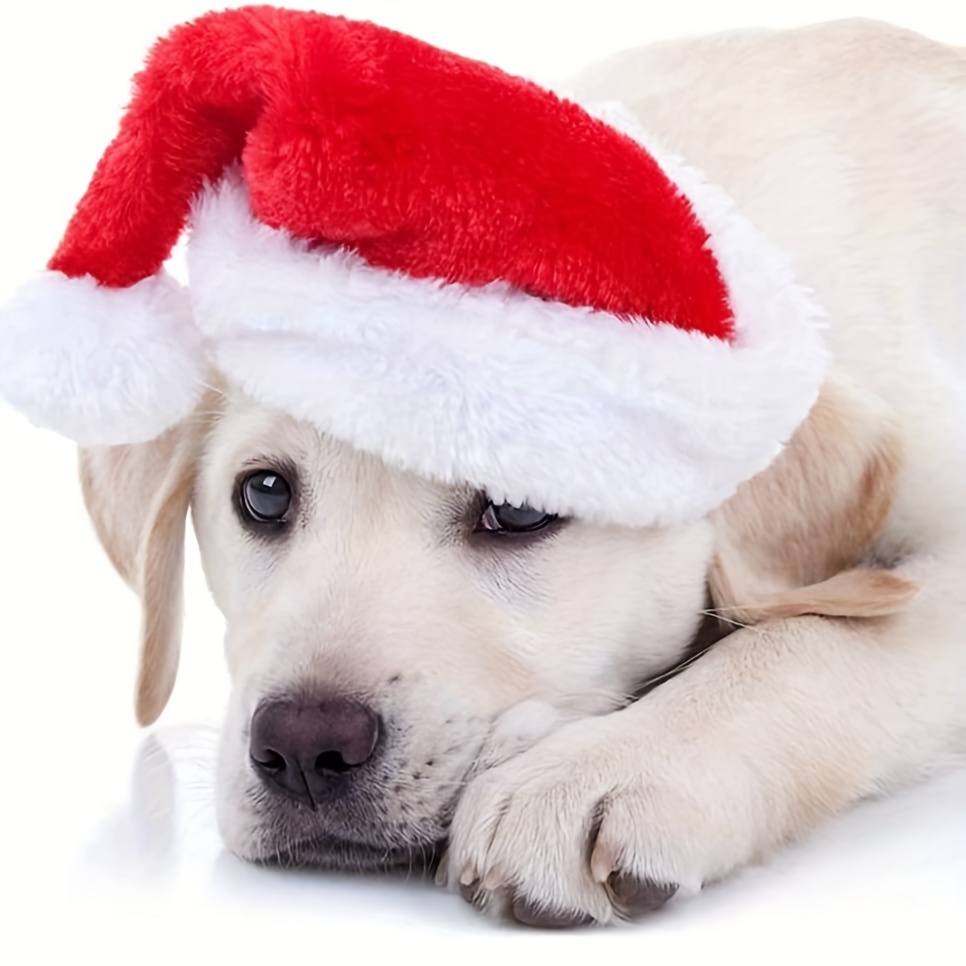 Santa Hat Plush - 1-10 adet lüks yumuşak peluş noel